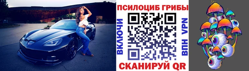 Псилоцибиновые грибы Cubensis  Купить закладки  Зеленоградск 